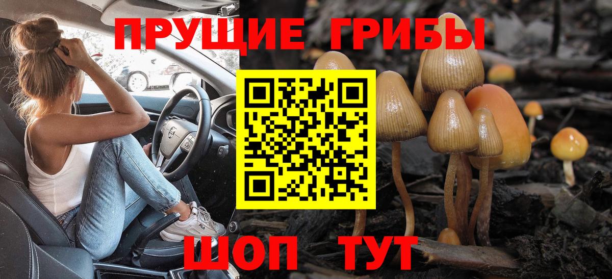 Псилоцибиновые грибы Psilocybe  Вход с VPN  Псилоцибиновые грибы Psilocybe  Нерюнгри 