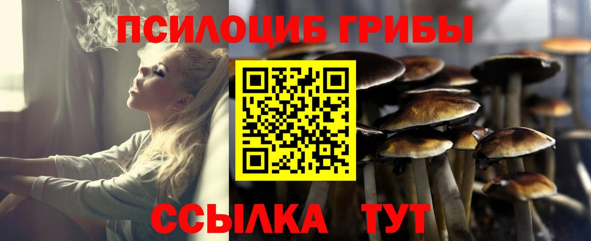 Галлюциногенные грибы Psilocybine cubensis Нерюнгри
